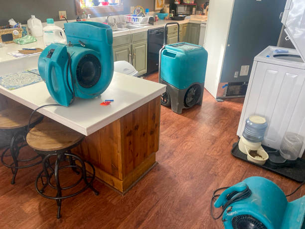 Best Professional water damage repair  in Laurel Springs, NJ