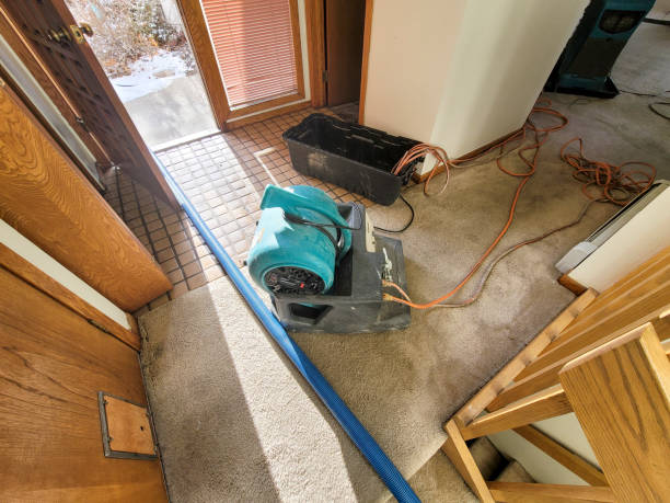 Best Mold removal after water damage  in Laurel Springs, NJ