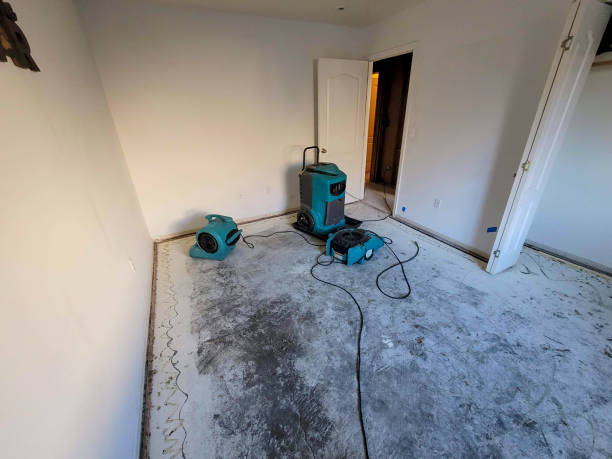 Best Mold removal after water damage  in Laurel Springs, NJ