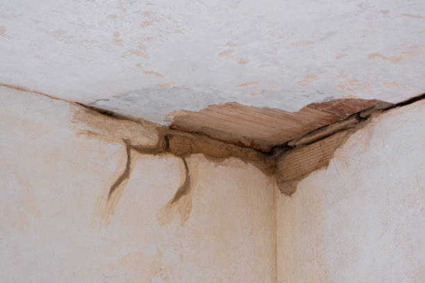 Best 24-hour water damage restoration  in Laurel Springs, NJ